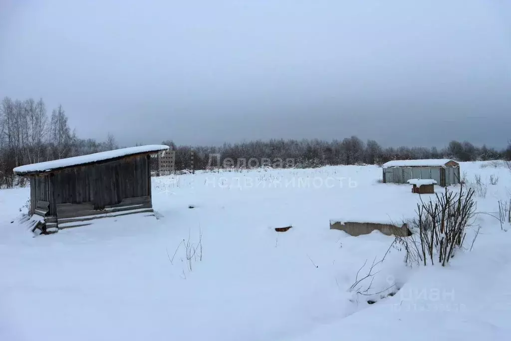 Участок в Новгородская область, Новгородский район, Пролетарское ... - Фото 1