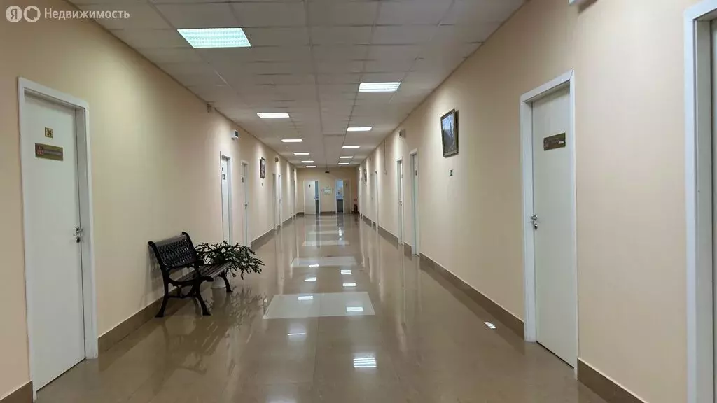 Офис (47.6 м) - Фото 1