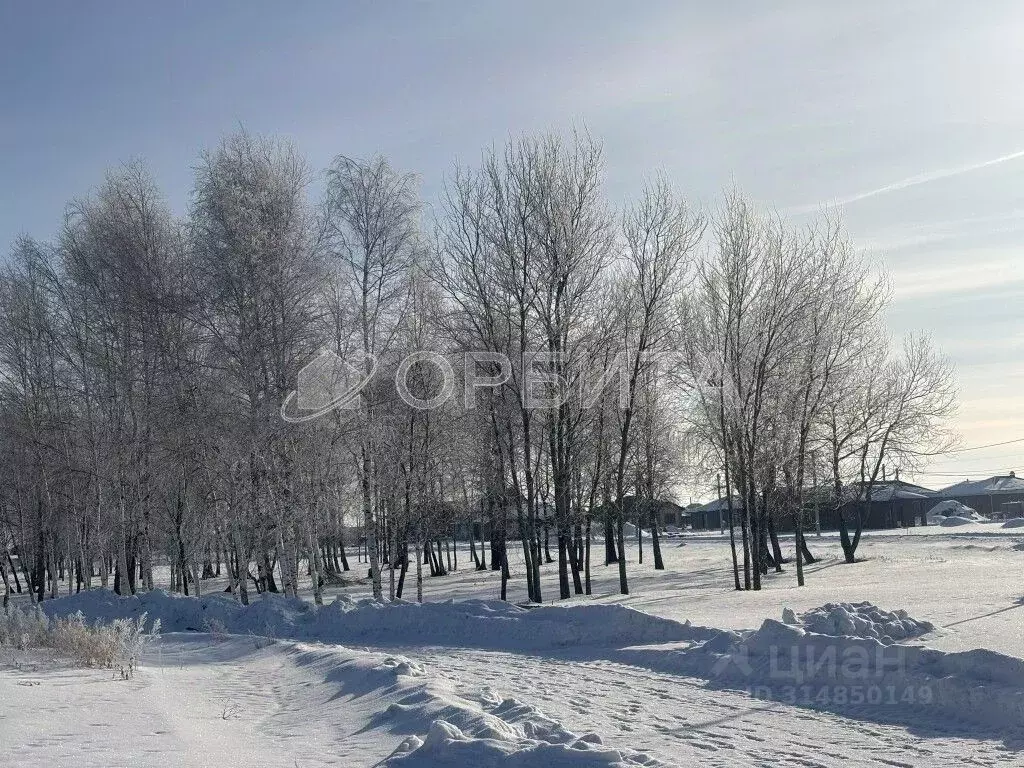 Дом в Тюменская область, Тюменский район, с. Червишево  (130 м) - Фото 1