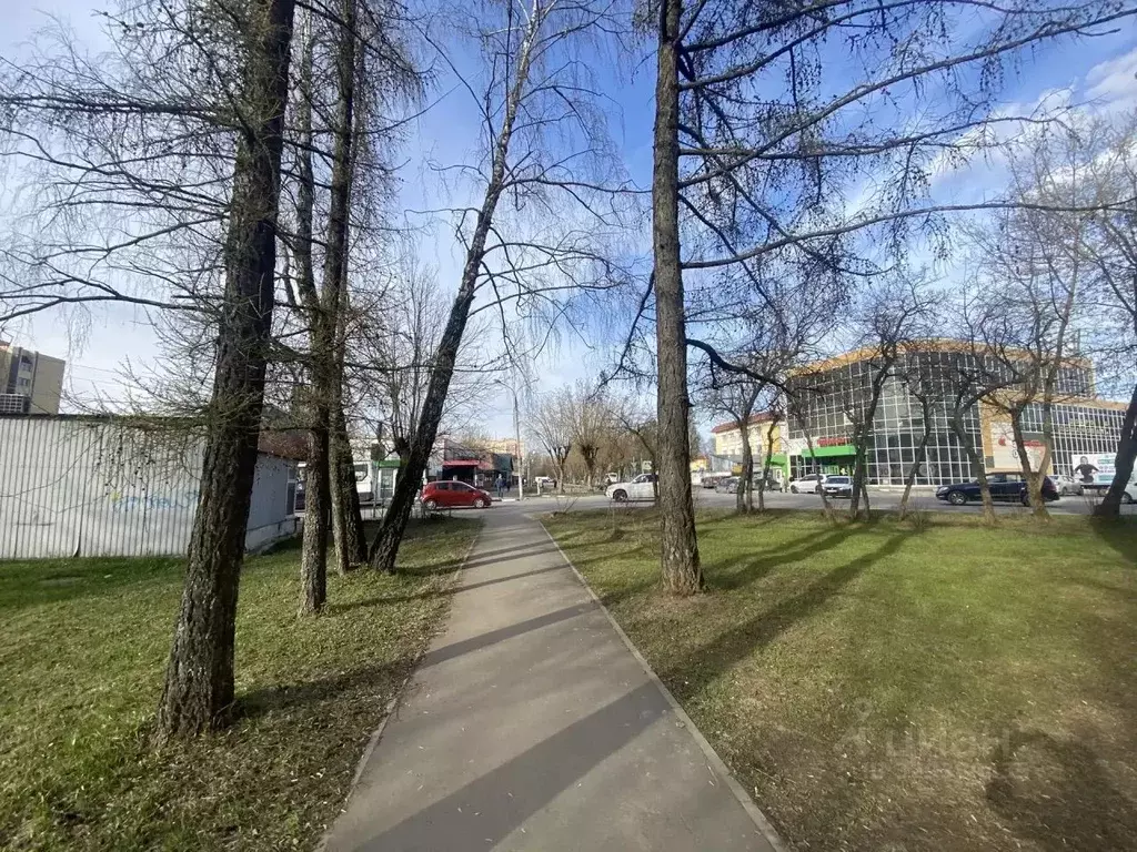 Комната Московская область, Пушкинский городской округ, Лесной пгт ул. ... - Фото 2
