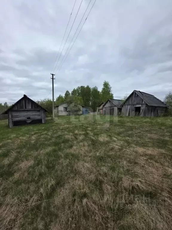 Дом в Псковская область, Островский муниципальный округ, Воронцовская ... - Фото 2