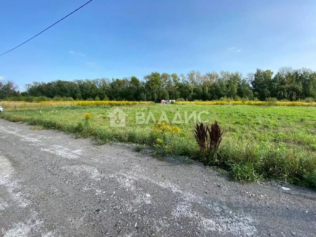 Участок в Рязанская область, Рязанский район, Вышгородское с/пос, с. ... - Фото 1