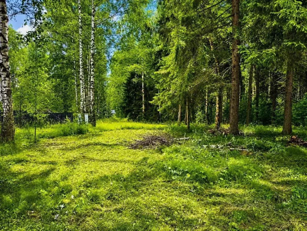 Участок в Пермский край, Пермь Золотистая ул., 50 (19.26 сот.) - Фото 2