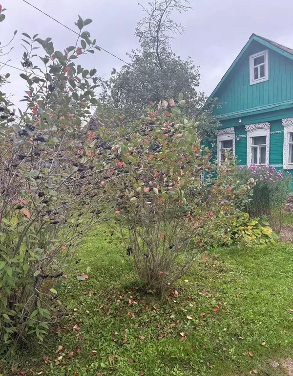 Участок в Московская область, Наро-Фоминск ул. Володарского (25.0 ... - Фото 2