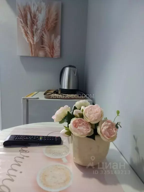 Студия Краснодарский край, Анапа ул. Шевченко, 22А (12.0 м) - Фото 2