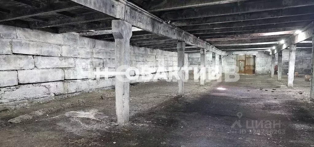 Помещение свободного назначения в Новосибирская область, Мошковский ... - Фото 1