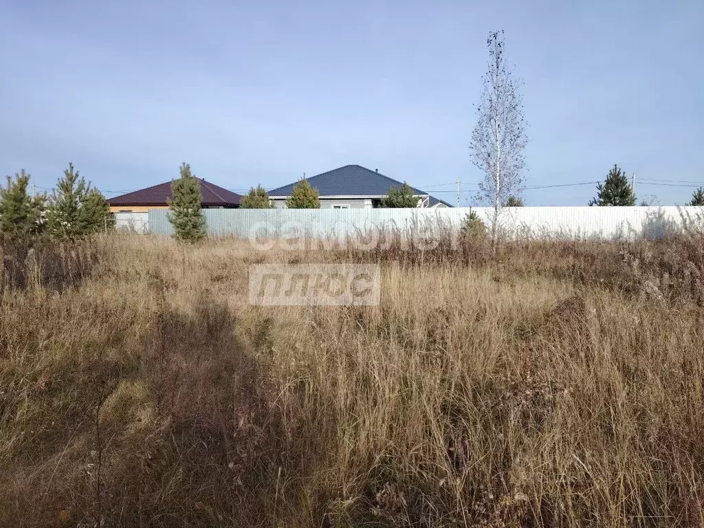 Участок в Тюменская область, Тюменский муниципальный округ, д. Елань, ... - Фото 1