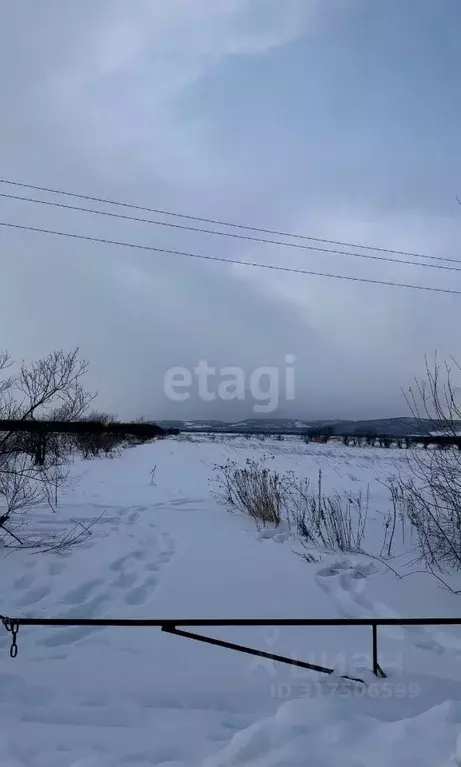 Участок в Сахалинская область, Анивский городской округ, с. ... - Фото 1