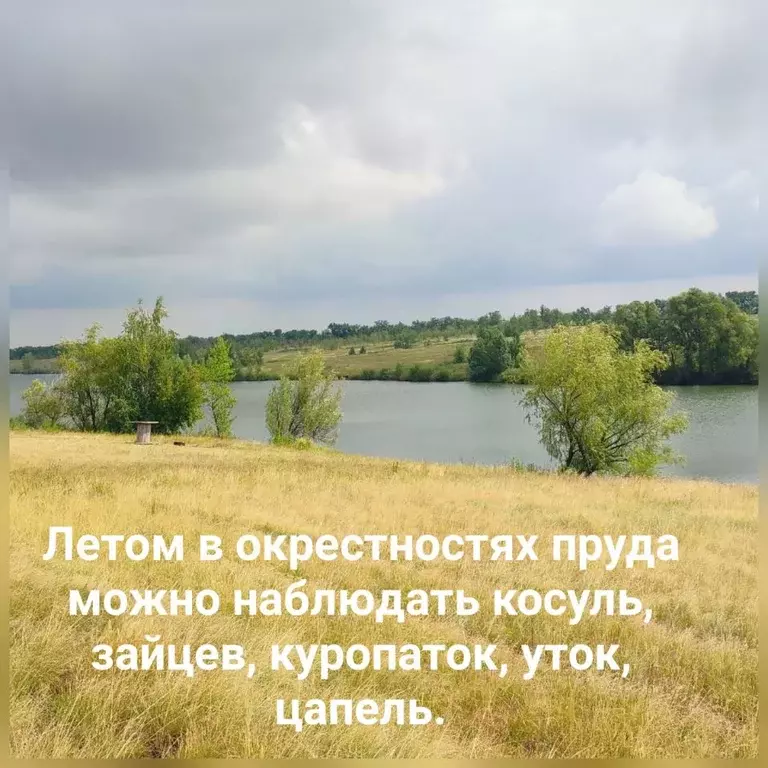Участок в Самарская область, Пестравский район, Марьевка с/пос  (30.0 ... - Фото 2