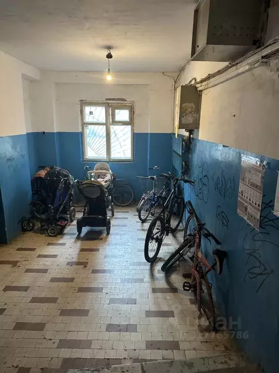 1-к кв. Воронежская область, Воронеж ул. Урицкого, 88 (23.4 м) - Фото 1