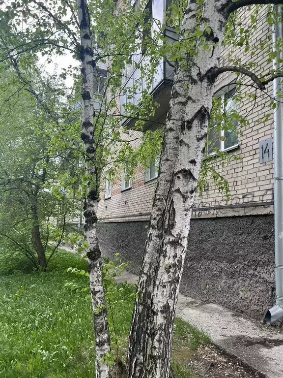 2-к кв. Новосибирская область, Бердск ул. Менделеева, 14 (45.0 м) - Фото 0