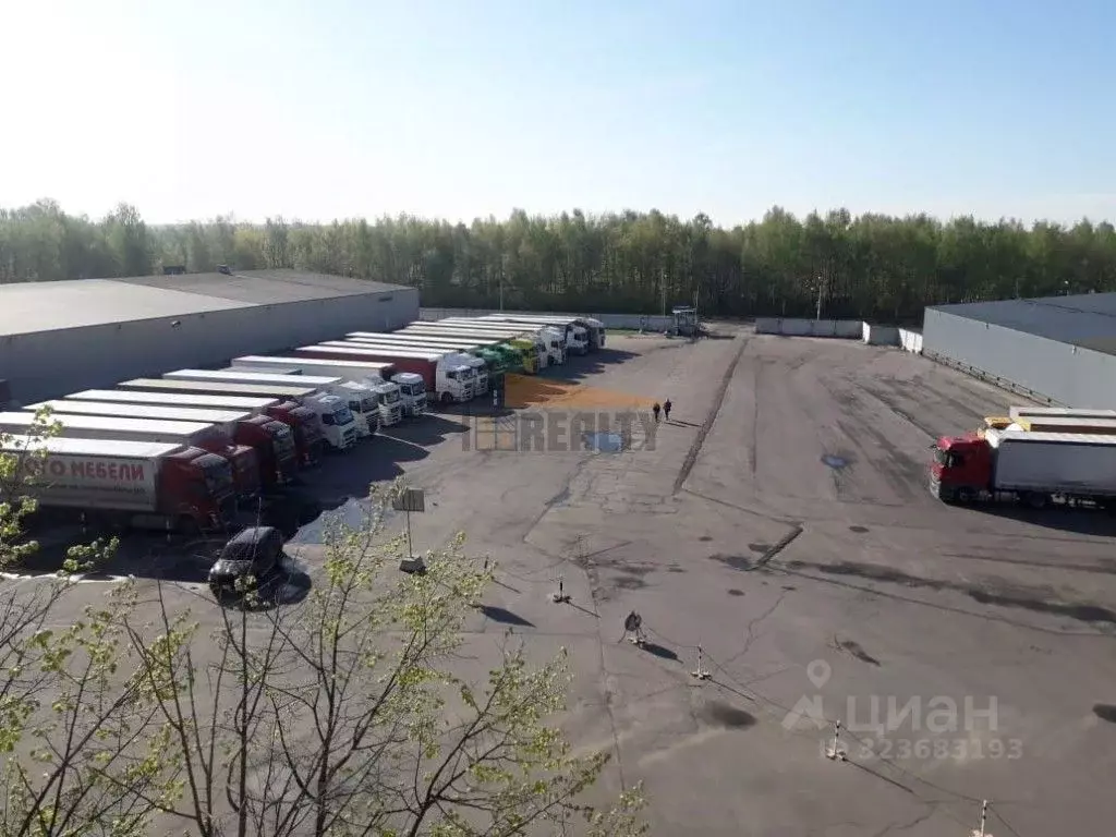 Склад в Московская область, Богородский городской округ, имени ... - Фото 2