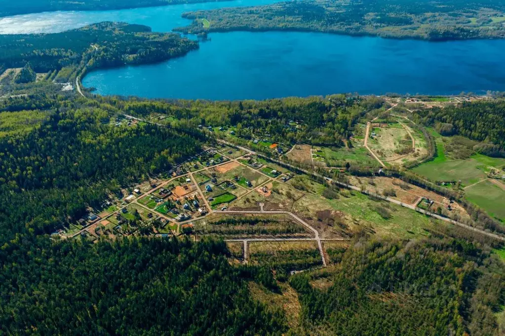 Участок в Ленинградская область, Выборгский район, Приморское ... - Фото 2