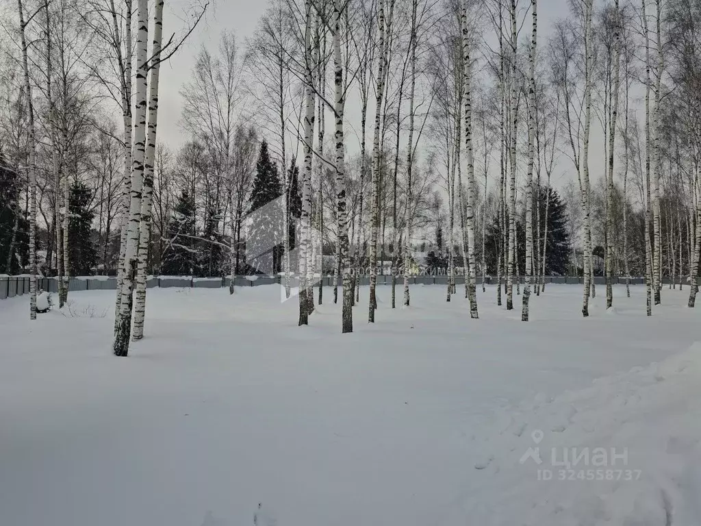 Участок в Москва Кристалл СНТ, 10 (7.5 сот.) - Фото 1