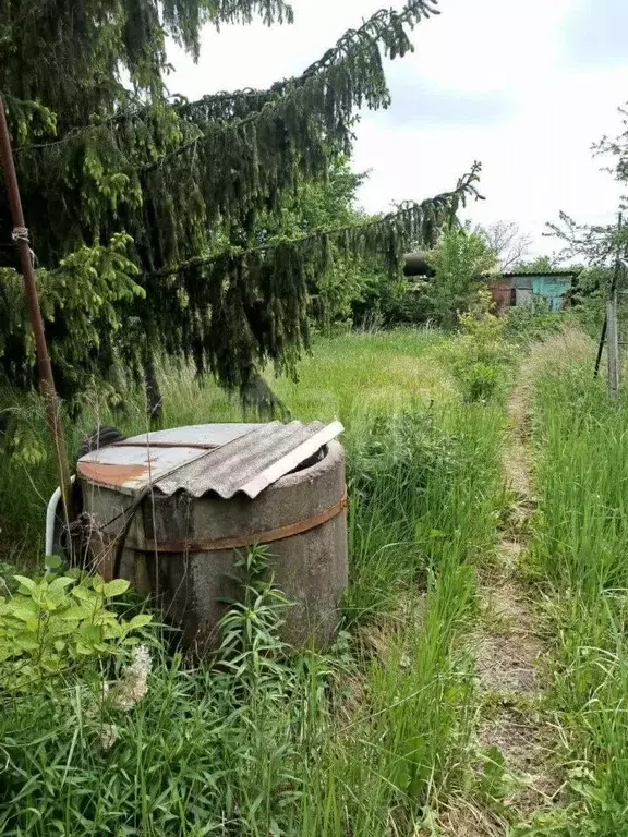 Участок 6,3 сот. (СНТ, ДНП) - Фото 0