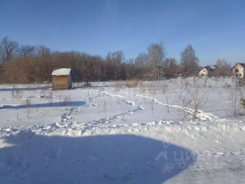 Участок в Алтайский край, Барнаул городской округ, пос. Бельмесево  ... - Фото 1