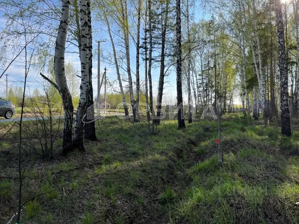 Участок в Тюменская область, Нижнетавдинский муниципальный округ, ... - Фото 2