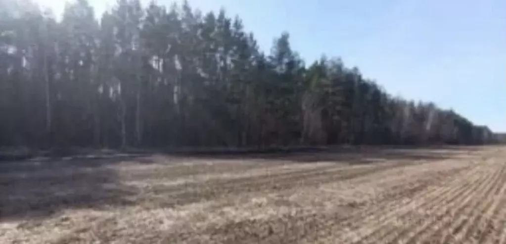 Участок в Новосибирская область, Тогучинский район, д. Гаревка  (55.0 ... - Фото 2