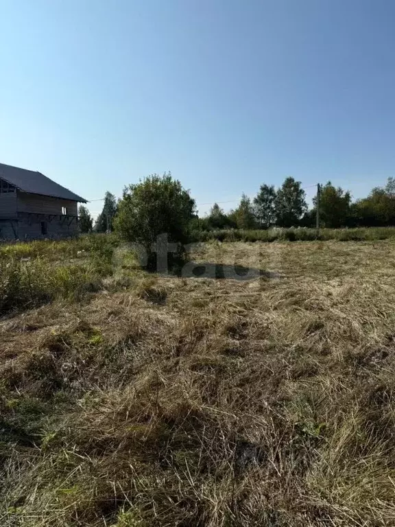 Участок в Вологодская область, д. Дудинское  (11.25 сот.) - Фото 2