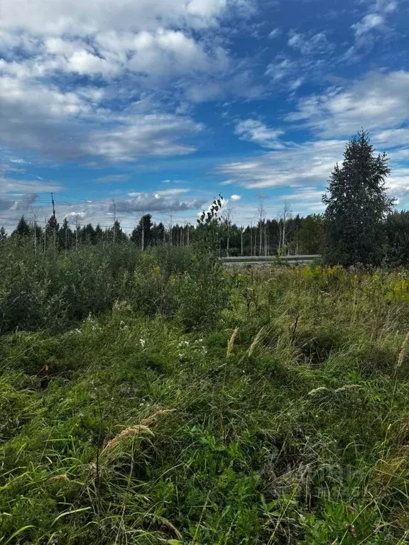 Участок в Московская область, Павлово-Посадский городской округ, д. ... - Фото 1