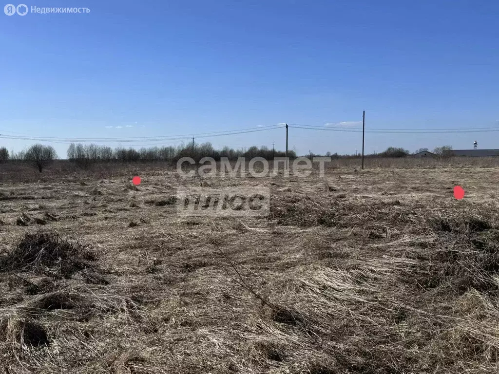 Участок в Любанское городское поселение, деревня Ильинский Погост ... - Фото 1