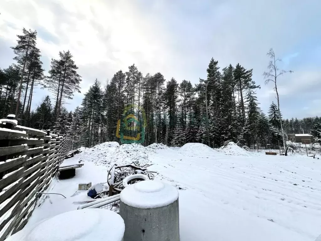 Участок в Ленинградская область, Всеволожский район, Токсовское ... - Фото 2