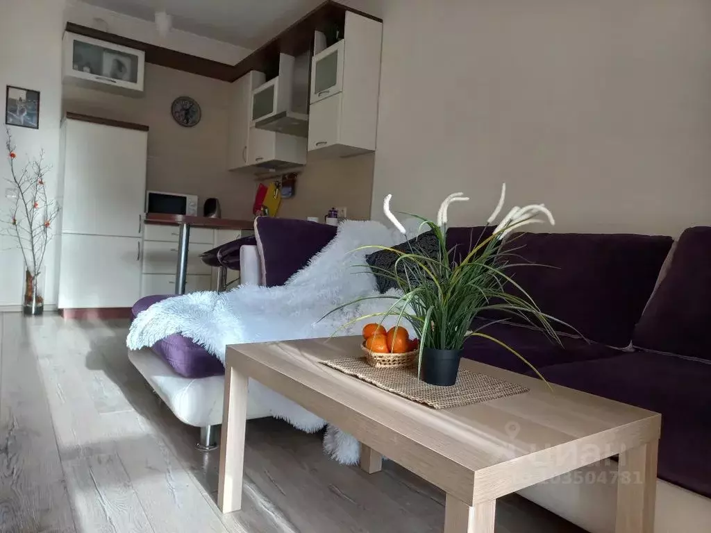 Студия Санкт-Петербург Московский просп., 73к5 (30.0 м) - Фото 0