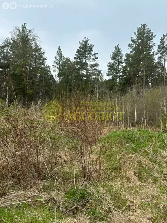 Участок в Дегтярск, Вишнёвая улица, 1 (12.5 м) - Фото 1