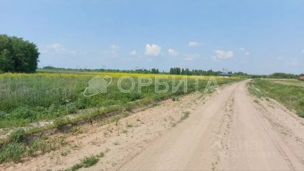 Участок в Тюменская область, Тюменский муниципальный округ, с. Борки  ... - Фото 2