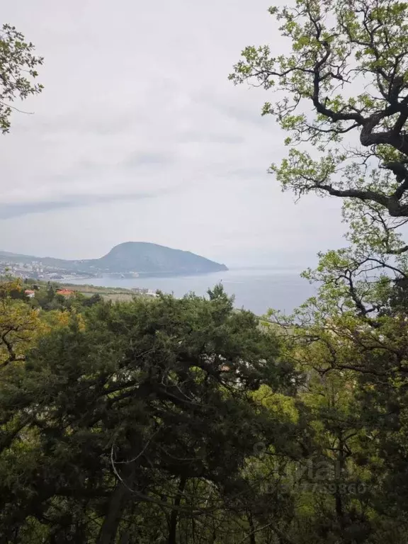 Участок в Крым, Ялта муниципальный округ, пос. Даниловка ул. Тенистая ... - Фото 1