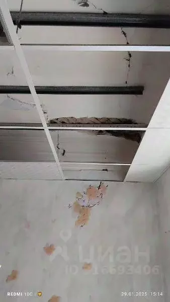 Помещение свободного назначения в Амурская область, Райчихинск ул. ... - Фото 0