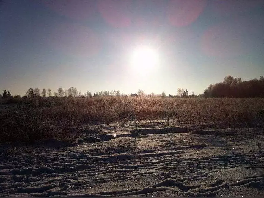 Участок в Московская область, Истра муниципальный округ, пос. Станции ... - Фото 2
