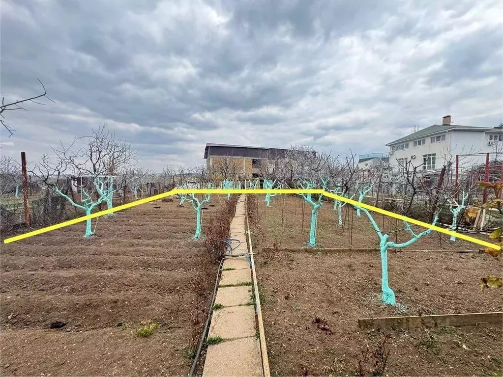 Участок в Севастополь Садовое товарищество Куликово Поле, ул. ... - Фото 1