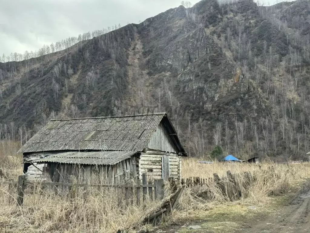 Участок в Алтай, Шебалинский район, с. Мыюта Российская ул. (11.0 ... - Фото 1