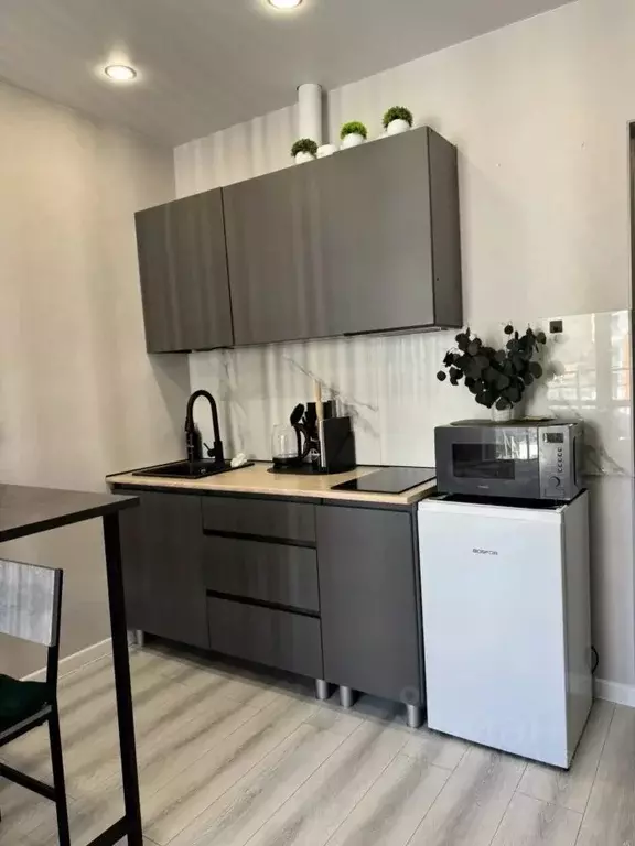 Студия Краснодарский край, Сочи ул. Искры, 88к6 (24.5 м) - Фото 1