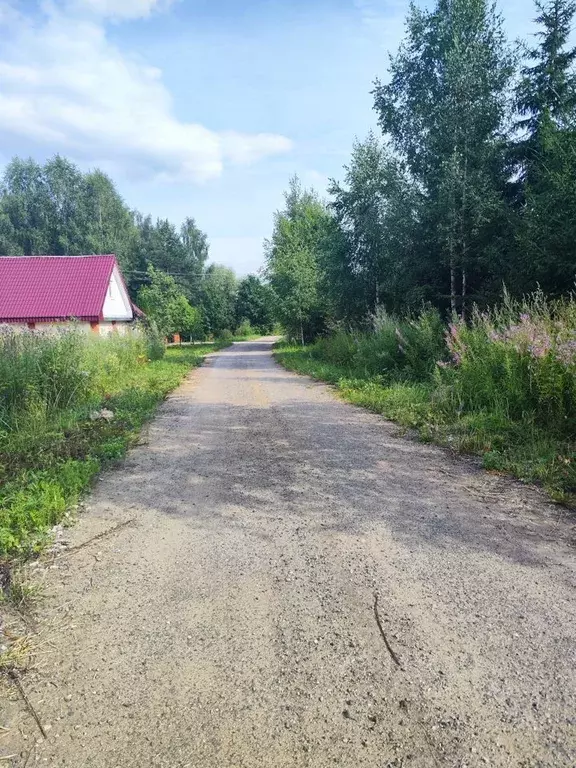 Участок в Московская область, Клин городской округ, д. Трехденево  ... - Фото 0