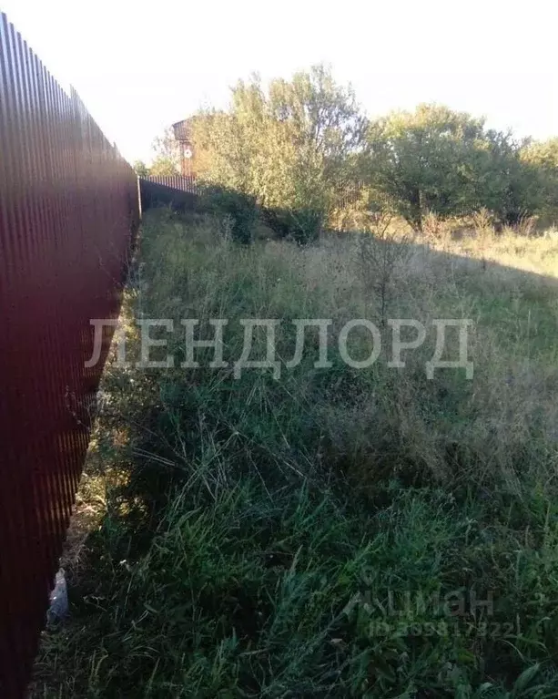 Участок в Ростовская область, Родионово-Несветайский район, ... - Фото 0