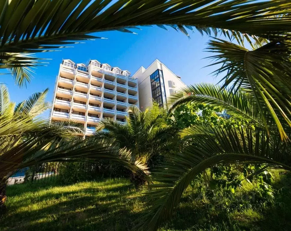 Комната Краснодарский край, Сочи ул. Декабристов, 78Б (10.0 м) - Фото 2