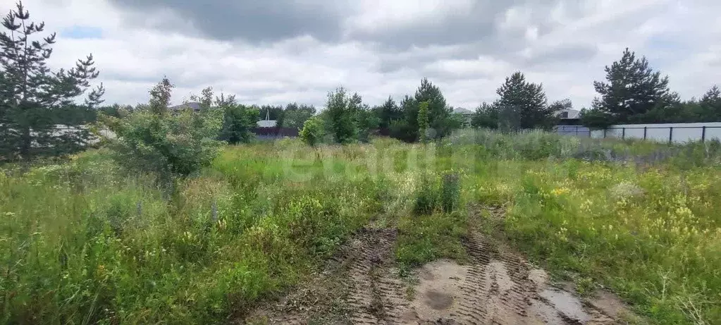 Участок 13,2 сот. (личное подсобное хозяйство (лпх)) - Фото 0
