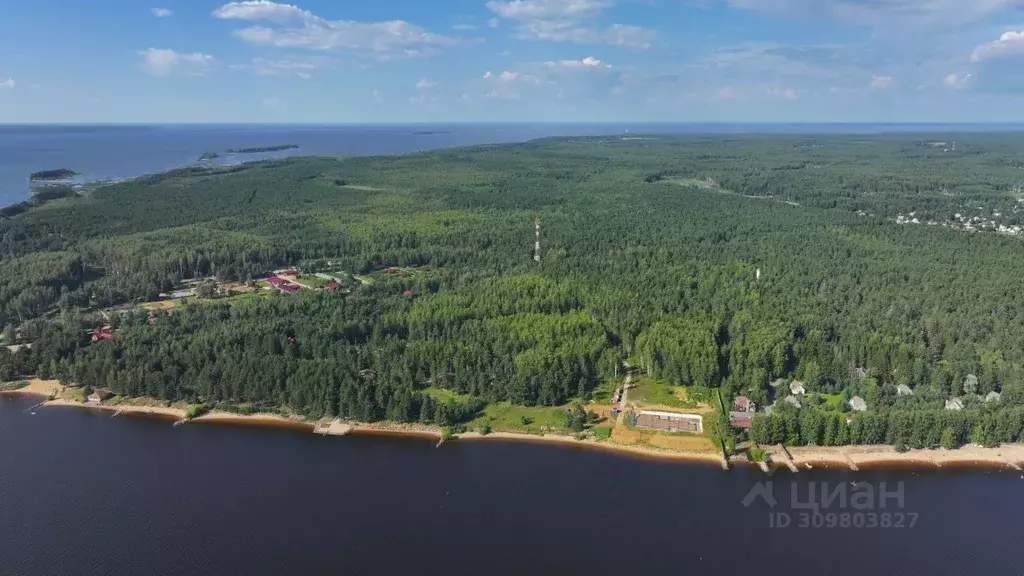 Участок в Ярославская область, Рыбинский район, Глебовское с/пос  ... - Фото 1