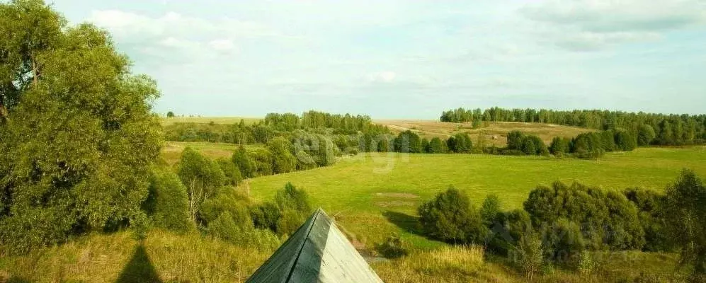 Дом в Калужская область, Село Бабынино с/пос, д. Альшаны  (50 м) - Фото 0