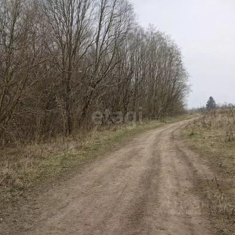 Участок в Смоленская область, Смоленский муниципальный округ, д. ... - Фото 1