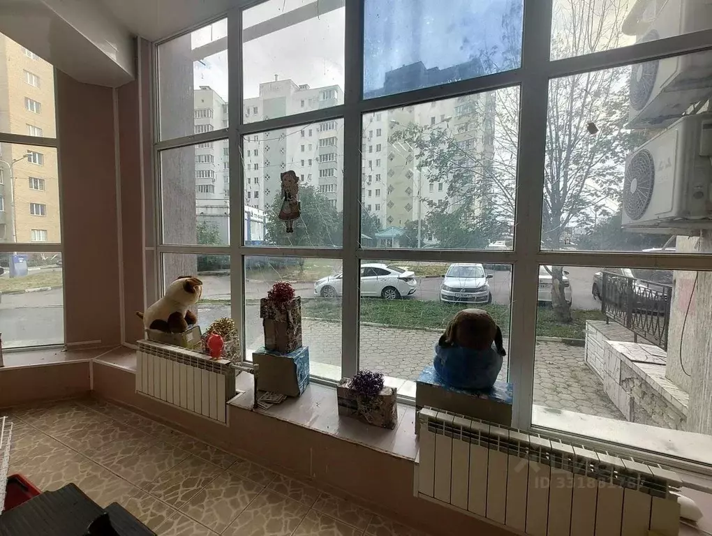Помещение свободного назначения в Белгородская область, Белгород ул. ... - Фото 2