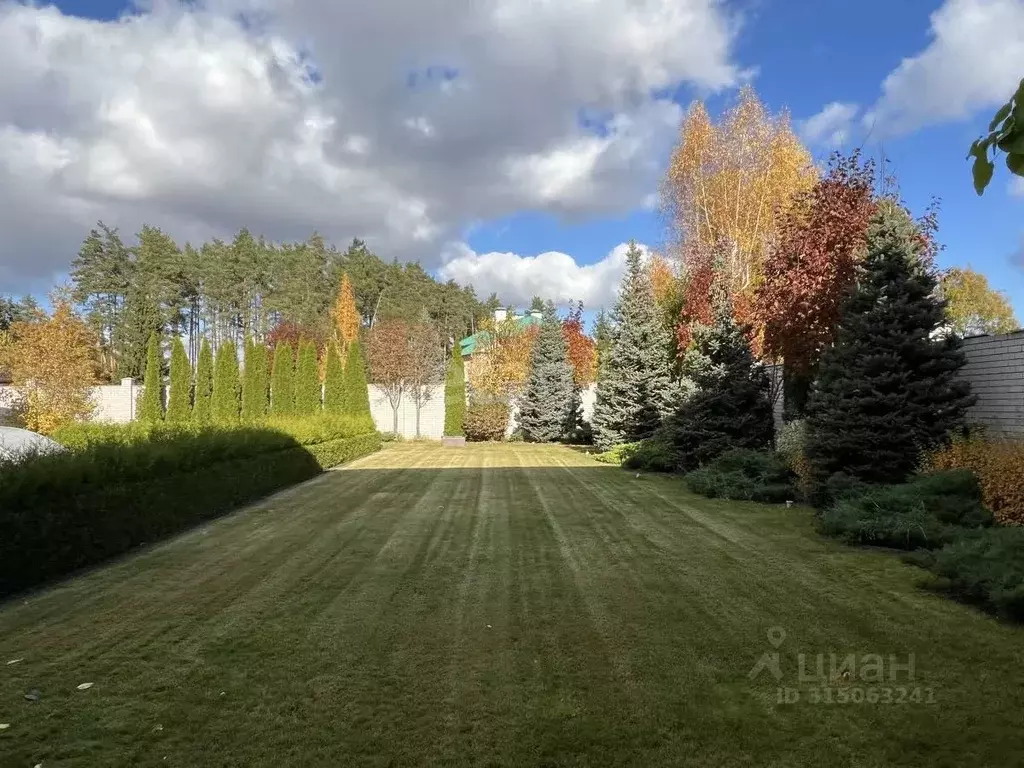 Участок в Воронежская область, Рамонский район, с. Ямное Сосновая ул. ... - Фото 0