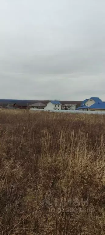 Участок в Московская область, Серпухов городской округ, д. Тульчино  ... - Фото 0