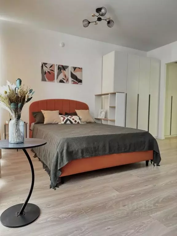 Студия Ленинградская область, Всеволожский район, Заневское городское ... - Фото 2