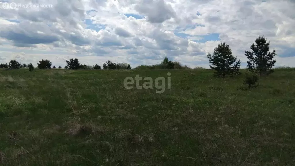 Участок в Камышлов, Цветочная улица (25 м) - Фото 1