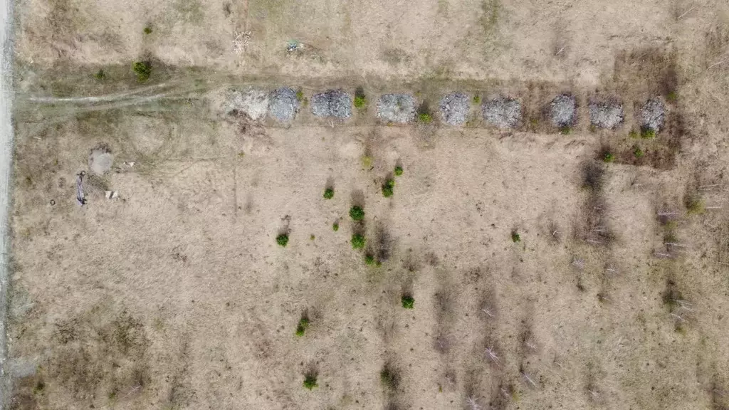 Участок в Томская область, Томский район, Новые Вешки ДНТ ул. ... - Фото 2