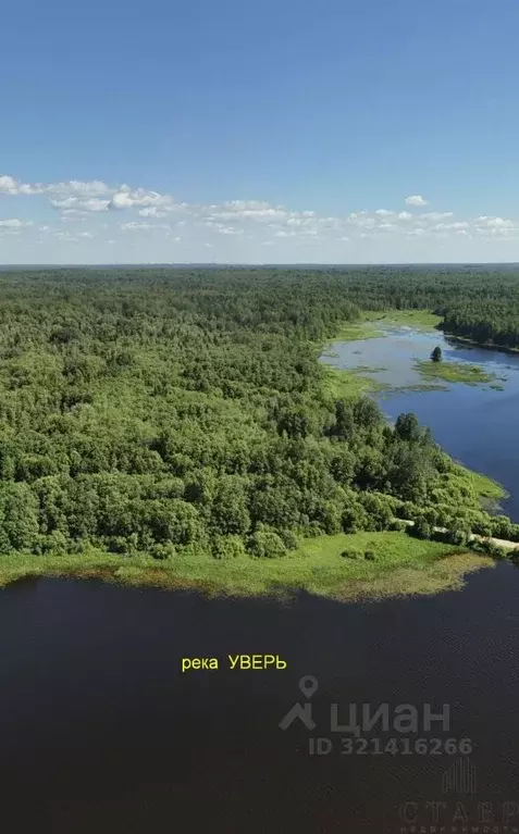 Участок в Новгородская область, Мошенской муниципальный округ, д. ... - Фото 2