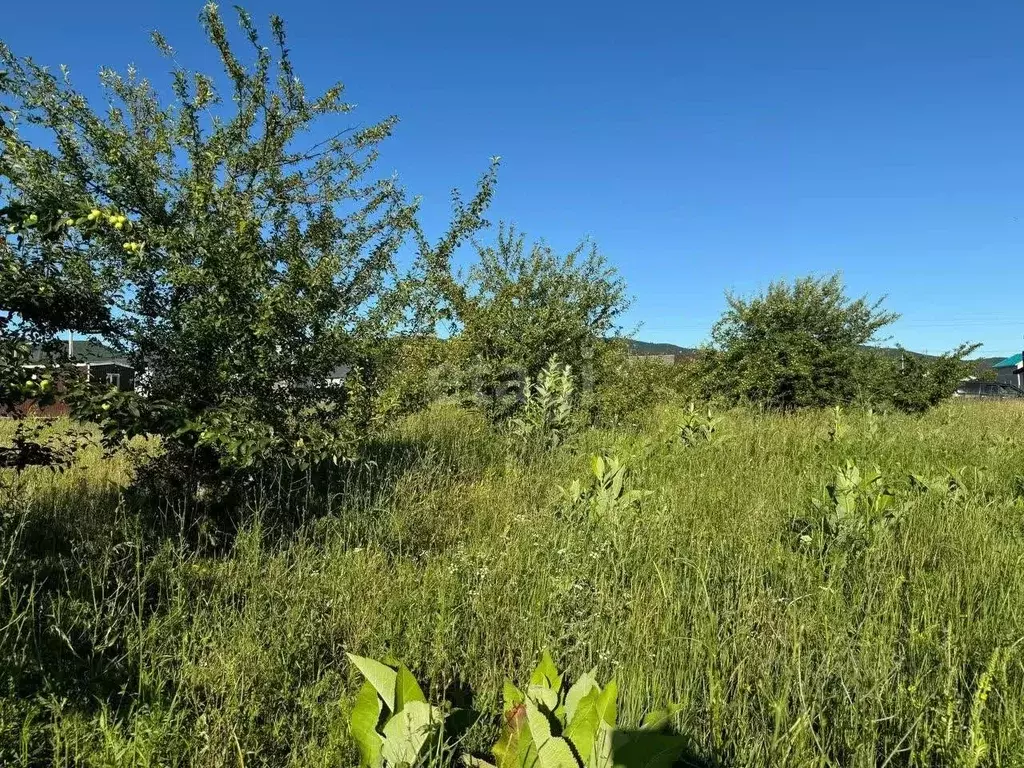 Участок в Краснодарский край, Новороссийск городской округ, с. Южная ... - Фото 1